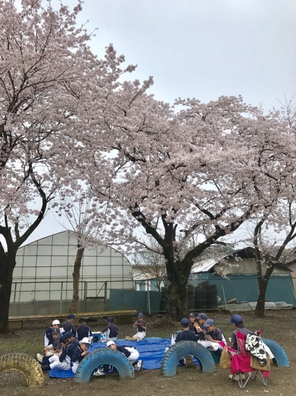 番外編「桜満開♪」