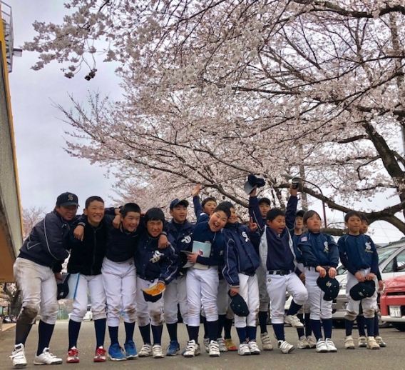 桜が満開です♪